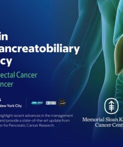 Memorial Sloan Kettering Cancer Center Updates in Hepatopancreatobiliary Malignancy 2025