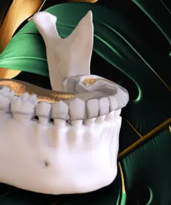 OHI-S Online congress on evidence-based temporomandibular disorders and bruxism treatment