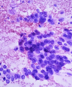 Oakstone Cytopathology 2026