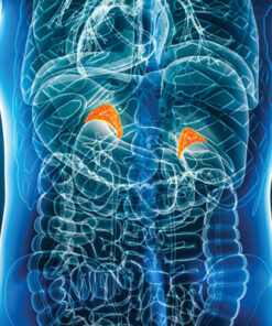 Oakstone Intensive Review of Endocrinology and Metabolism 2025