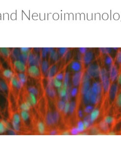 Oregon Health & Science 8th Annual MS and CNS Neuroimmunology Symposium 2025