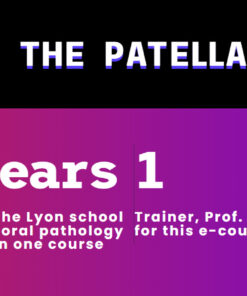 Stapiens E-Course The Patella 2024