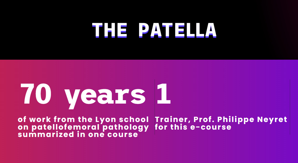 Stapiens E-Course The Patella 2024 Stapiens E-Course The Patella 2024