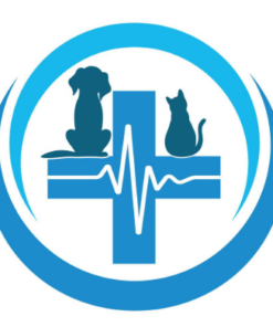 Veterinary Medicine