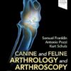 Canine and Feline Arthrology and Arthroscopy (EPUB)