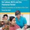 Respectful Maternity Practices for Labour, Birth and the Postnatal Period: Placing Compassion at the Heart of Our Care (PDF)