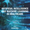 Artificial Intelligence and Machine Learning in Healthcare (EPUB)