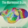 The Marmoset Brain in Stereotaxic Coordinates, 2nd Edition (PDF)