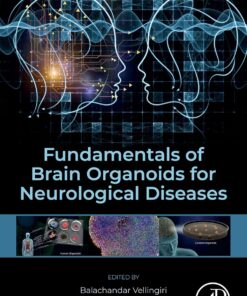 Fundamentals of Brain Organoids for Neurological Diseases (EPUB)