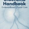 The Glaucoma Handbook (EPUB)