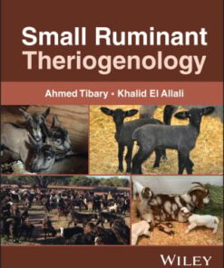 Small Ruminant Theriogenology (EPUB)