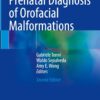 Prenatal Diagnosis of Orofacial Malformations, 2025th Edition (EPUB)