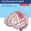 Atlas De Anatomia Aplicada À Cirurgia Da Malformação Arteriovenosa Cerebral (Portuguese Edition) (EPUB)