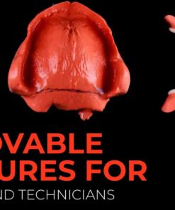 OHI-S Removable dentures for dentists and technicians 8 lession 14h 30m