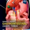 Diagnostic Imaging: Gastrointestinal, 5th edition (EPUB)