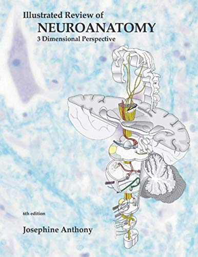 Illustrated Review of Neuroanatomy: 3 Dimensional Perspective (Scanned PDF) Illustrated Review of Neuroanatomy: 3 Dimensional Perspective (Scanned PDF)