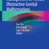 Diagnosis and Management of Female Obstructive Genital Malformations