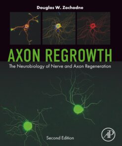 Axon Regrowth: The Neurobiology of Nerve and Axon Regeneration (EPUB)