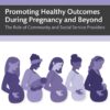 Promoting Healthy Outcomes During Pregnancy and Beyond: The Role of Community and Social Service Providers (EPUB)