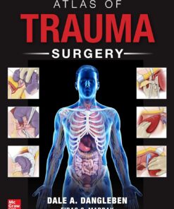 Atlas of Trauma Surgery (EPUB)