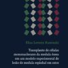 Transplante de células mononuclerares da medula óssea em um modelo experimental de lesão de medula espinhal em ratos (Portuguese Edition) (EPUB)
