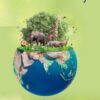 Biodiversity (PDF)