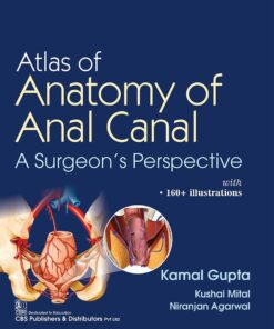 Atlas of Anatomy of Anal Canal A Surgeon’s Perspective (PDF)