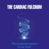 The Cardiac Fulcrum: The functional support of the heart (EPUB) The Cardiac Fulcrum: The functional support of the heart (EPUB)