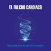 El fulcro cardíaco: Soporte funcional del corazón (Spanish Edition) (EPUB)