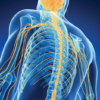 Samuels Comprehensive Review of Neurology 2026 (Videos + PDFs)