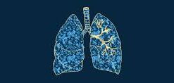 Columbia University Pulmonology-Rheumatology 2026 (Videos)