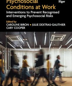 Research Handbook on Psychosocial Conditions at Work: Interventions to Prevent Recognised and Emerging Psychosocial Risks (PDF)