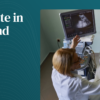 Harvard Clinical Endocrinology 2026 (Videos + PDFs)