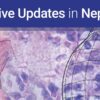 Harvard Clinical Endocrinology 2026 (Videos + PDFs)