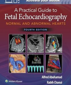 A Practical Guide to Fetal Echocardiography: Normal and Abnormal Hearts, 4th edition (PDF)