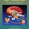 Chronic Abdominal and Visceral Pain: Theory and Practice (PDF)