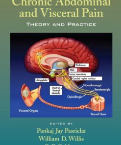 Chronic Abdominal And Visceral Pain: Theory And Practice (EPUB)