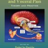 Chronic Abdominal And Visceral Pain: Theory And Practice (EPUB) Chronic Abdominal And Visceral Pain: Theory And Practice (EPUB)