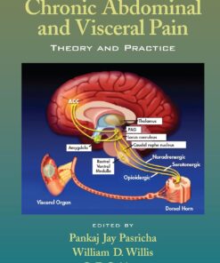 Chronic Abdominal and Visceral Pain: Theory and Practice (PDF)