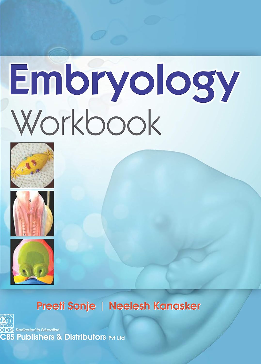 Embryology Workbook (PDF) Embryology Workbook (PDF)
