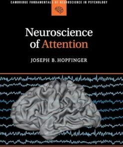 Neuroscience of Attention (Cambridge Fundamentals of Neuroscience in Psychology) (EPUB)