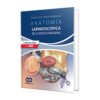 Surgical Recall, 10th edition (PDF)