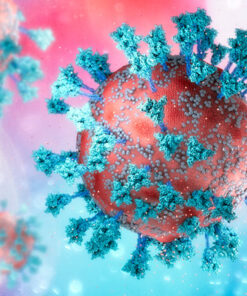 Oakstone The Brigham Board Review and Comprehensive Update in Infectious Diseases 2026