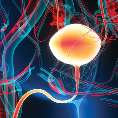 Oakstone Update in Urologic Oncology 2026 Oakstone Update in Urologic Oncology 2026
