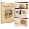 Walters & Karram Urogynecology and Reconstructive Pelvic Surgery, 6th edition (Videos Only)