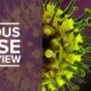 27e édition des Rencontres de Neurologies (Videos with subtitles) 27e édition des Rencontres de Neurologies (Videos with subtitles)