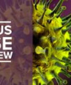 2025 Infectious Disease Board Review Homestudy Course (Videos + Question Sets + Study Guides)