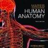 Junqueira’s Basic Histology: Text and Atlas, 18th Edition (True PDF from Publisher)