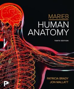 Marieb Human Anatomy, 10th edition(PDF)