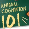 Intelligence 101 (The Psych 101)(PDF)